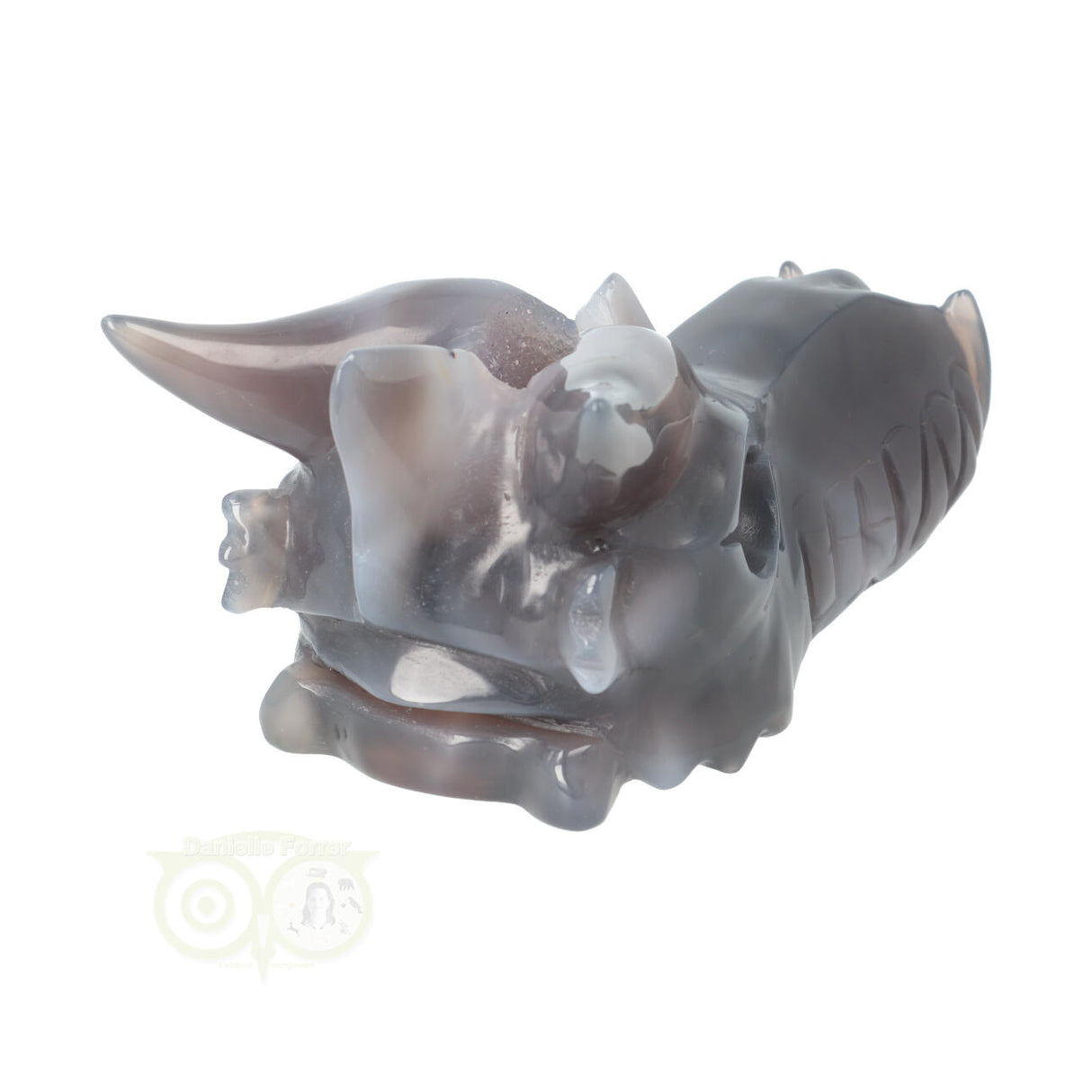 Agaat Geode Drakenschedel 589 gram