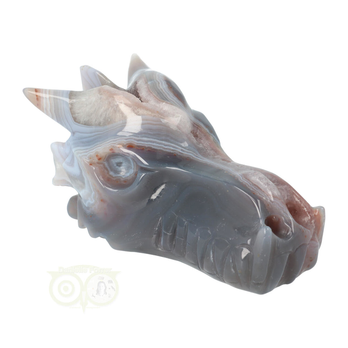 Agate Geode Dragon Skull 596 grams