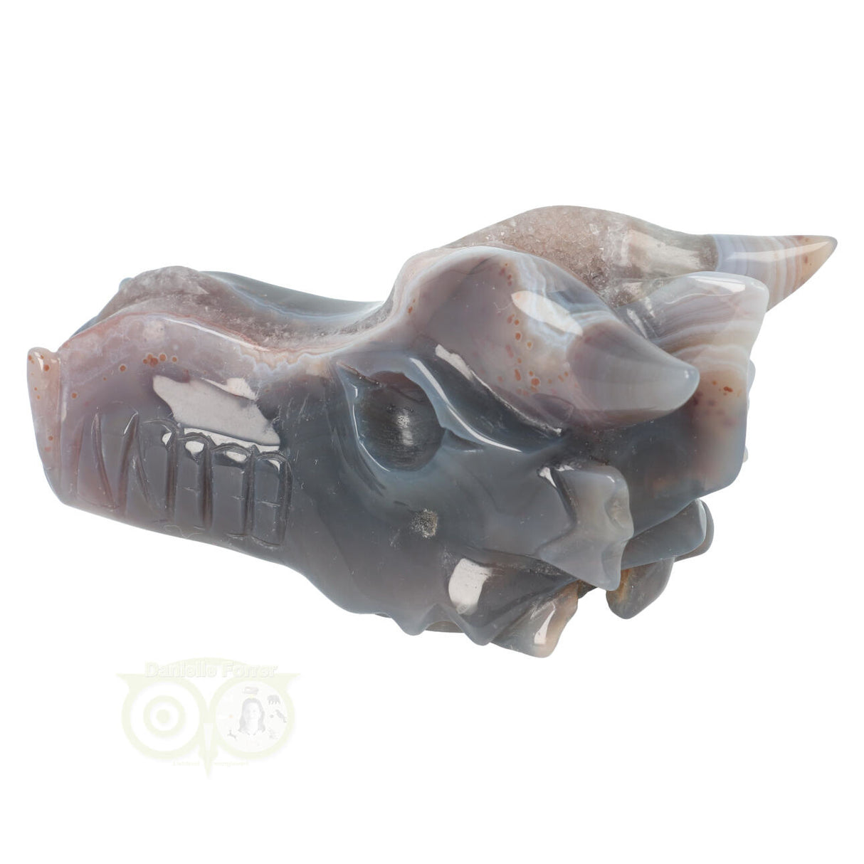 Agate Geode Dragon Skull 596 grams