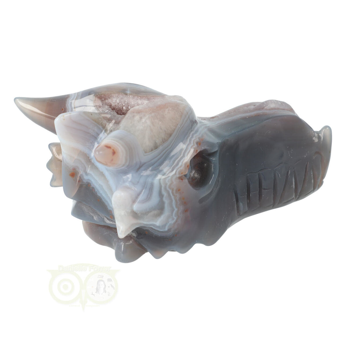 Agate Geode Dragon Skull 596 grams