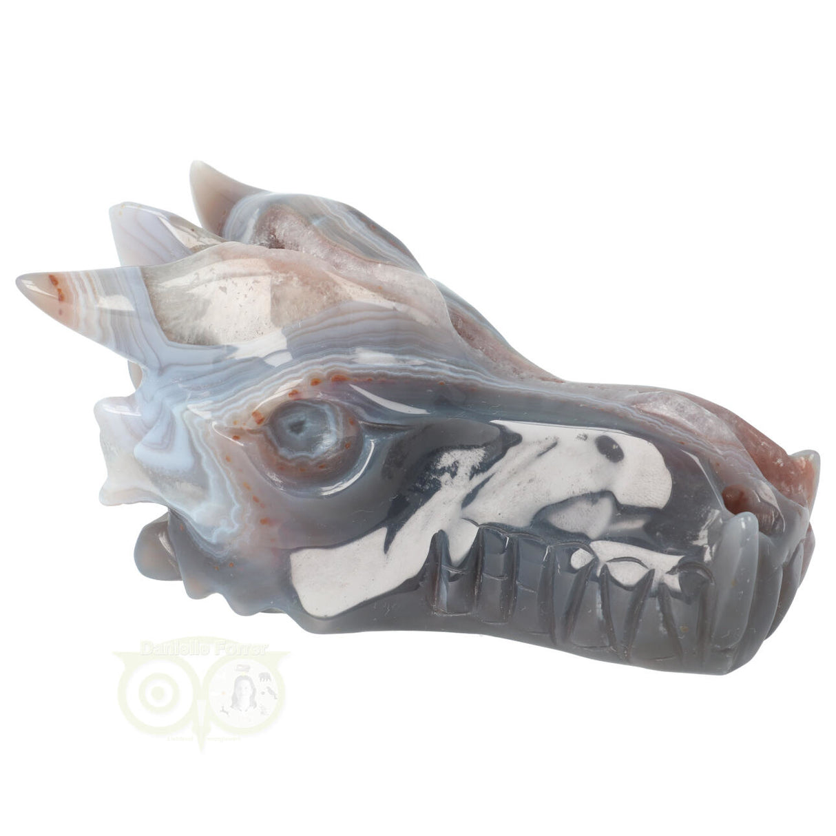 Agate Geode Dragon Skull 596 grams
