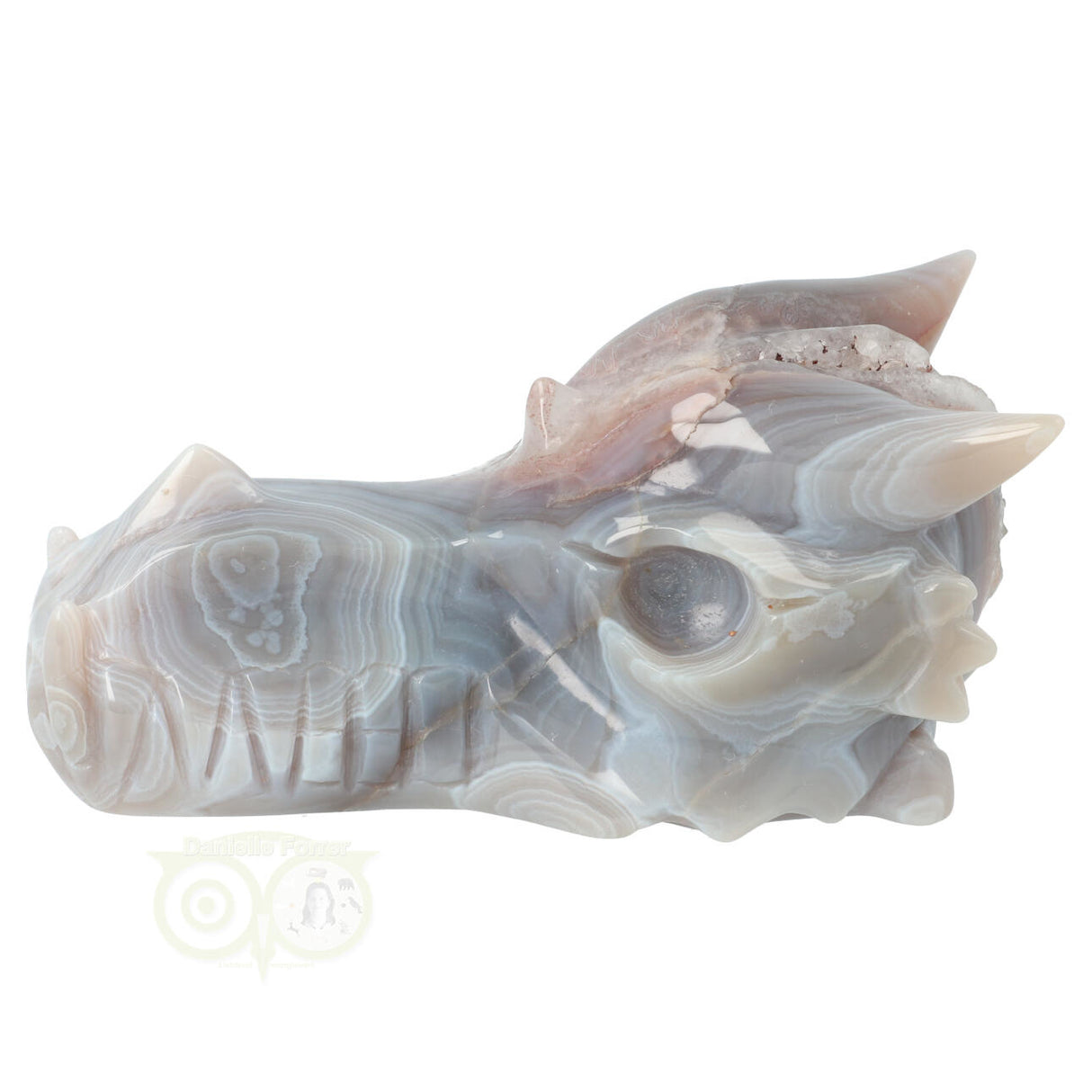 Agate Geode Dragon Skull 623 grams