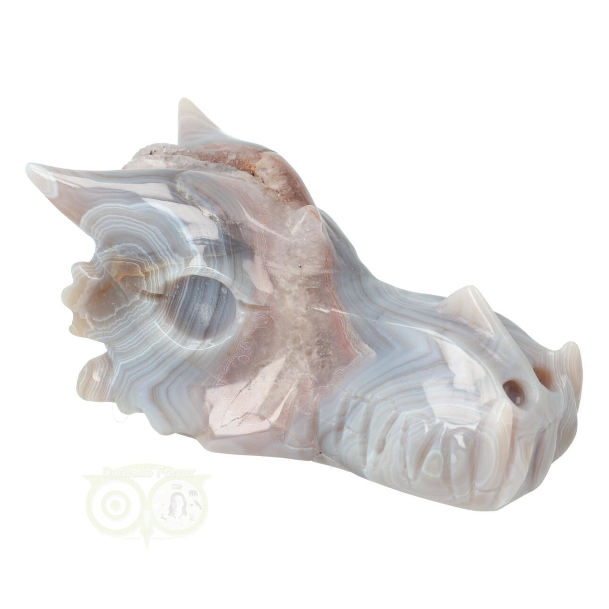 Agate Geode Dragon Skull 623 grams