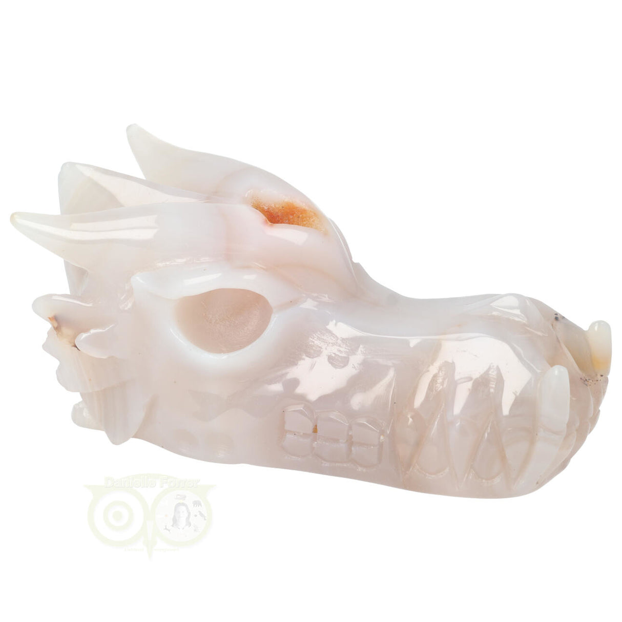 Agaat geode draken schedel 630 gram met kristallen en afzetting
