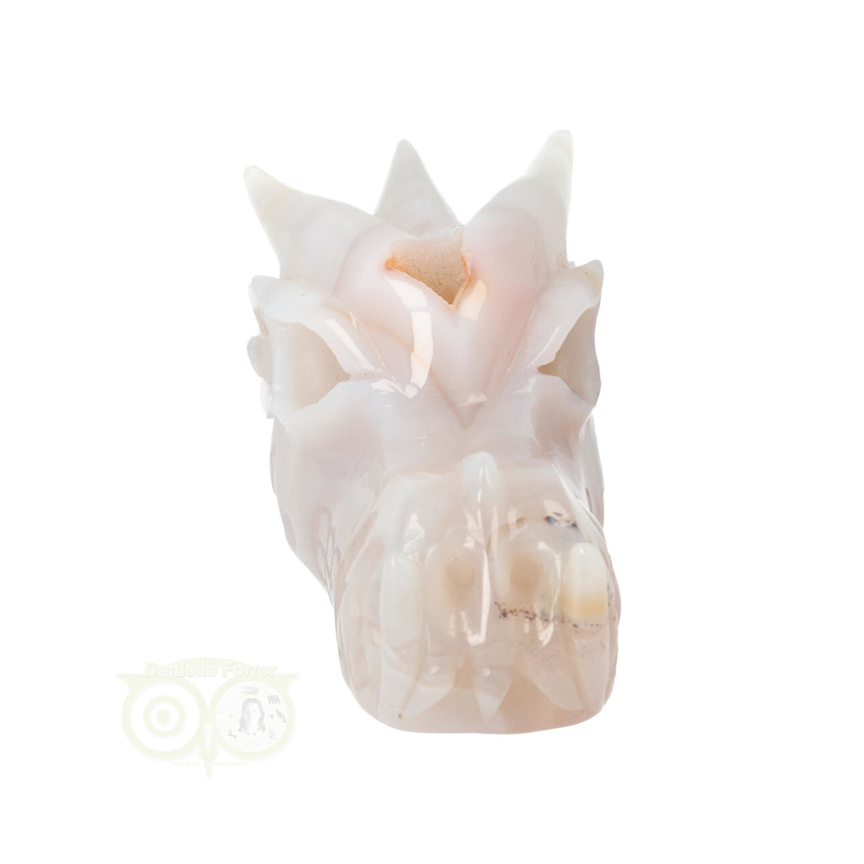 Agaat Drakenschedel 630 gram