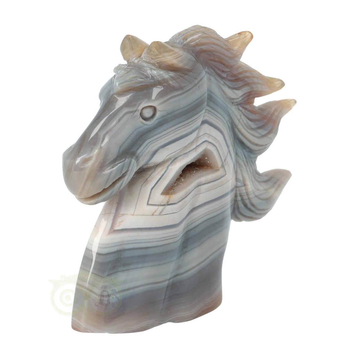 Agaat Paardenhoofd 511 gram