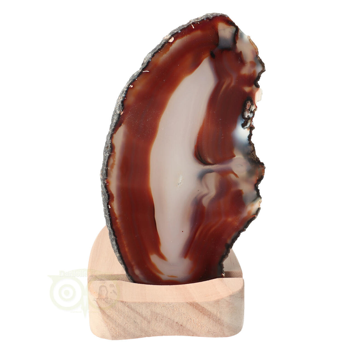 Agate slice No. 31