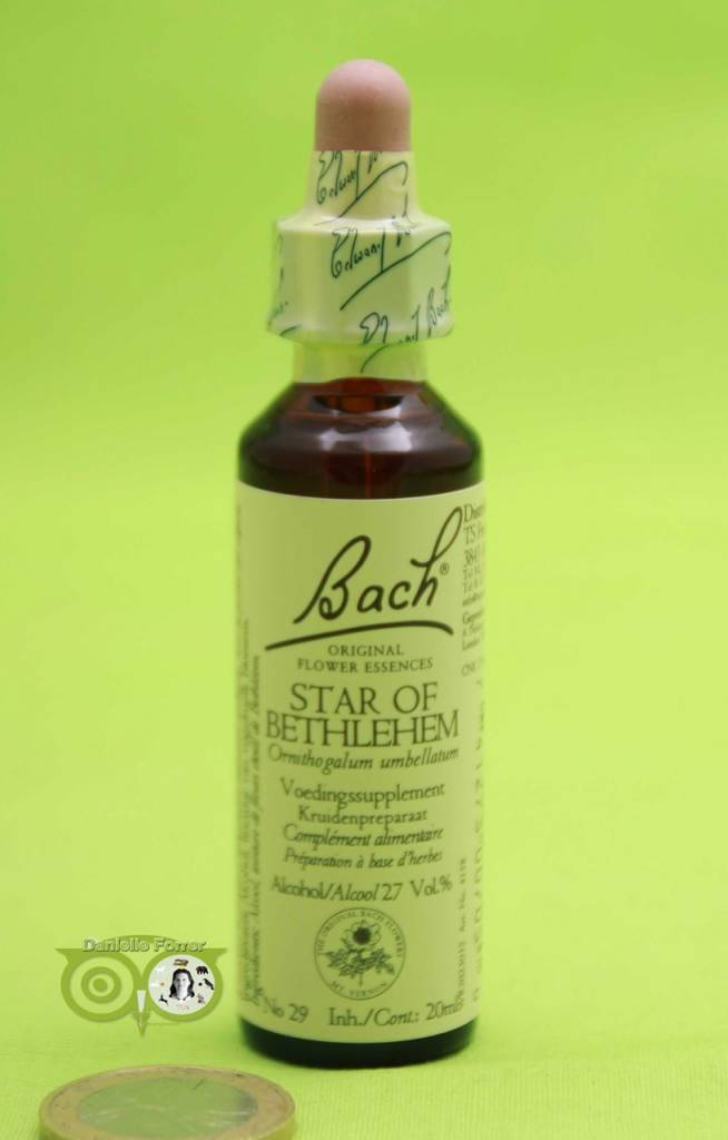 Bach Stern von Bethlehem (Vogelmilch) 20 ml