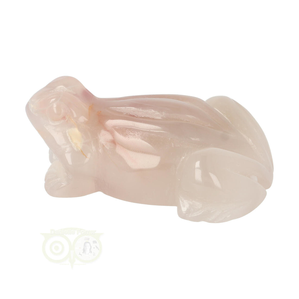 Bloem Agaat kikker nr 20