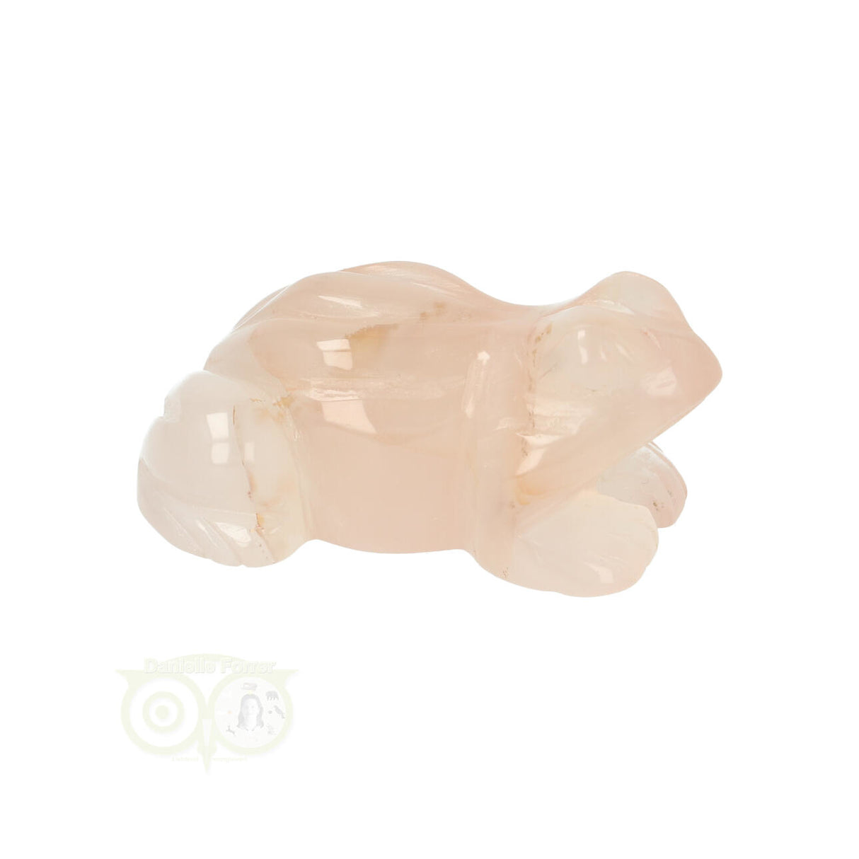 Bloem Agaat kikker nr 23