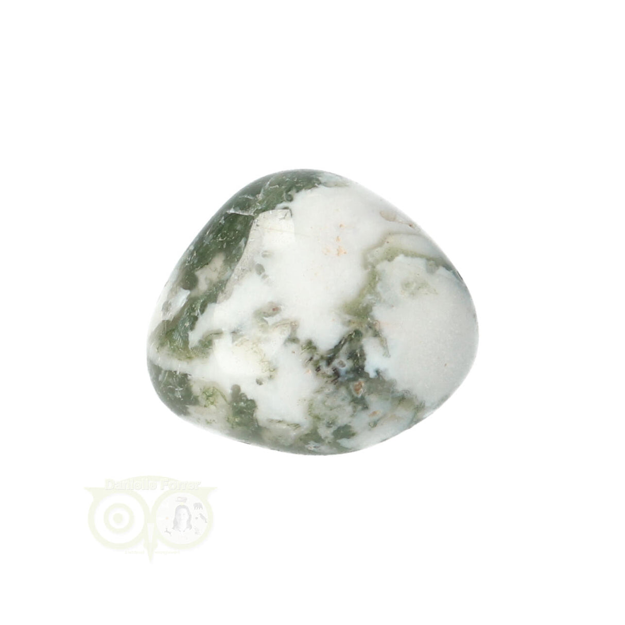 Tree Agate Tumbled Stone No. 10