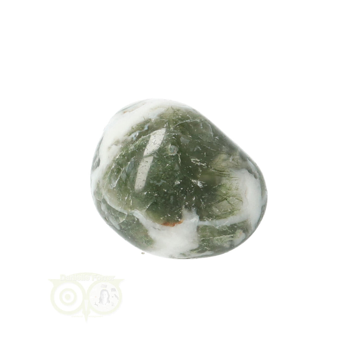 Tree Agate Tumbled Stone No. 10