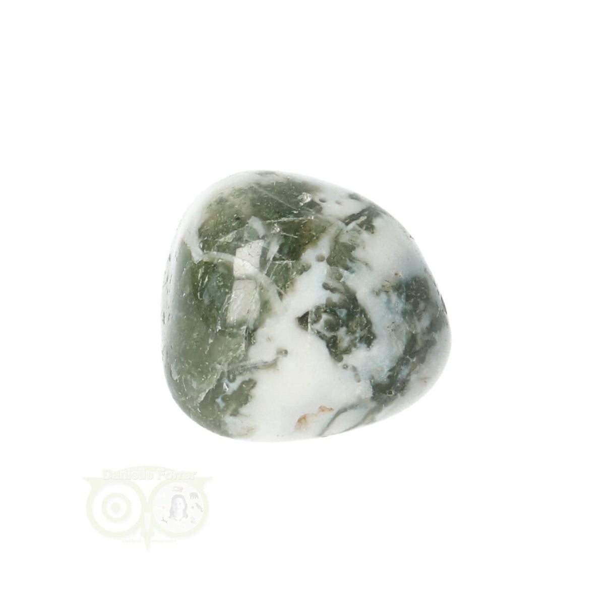 Tree Agate Tumbled Stone No. 10