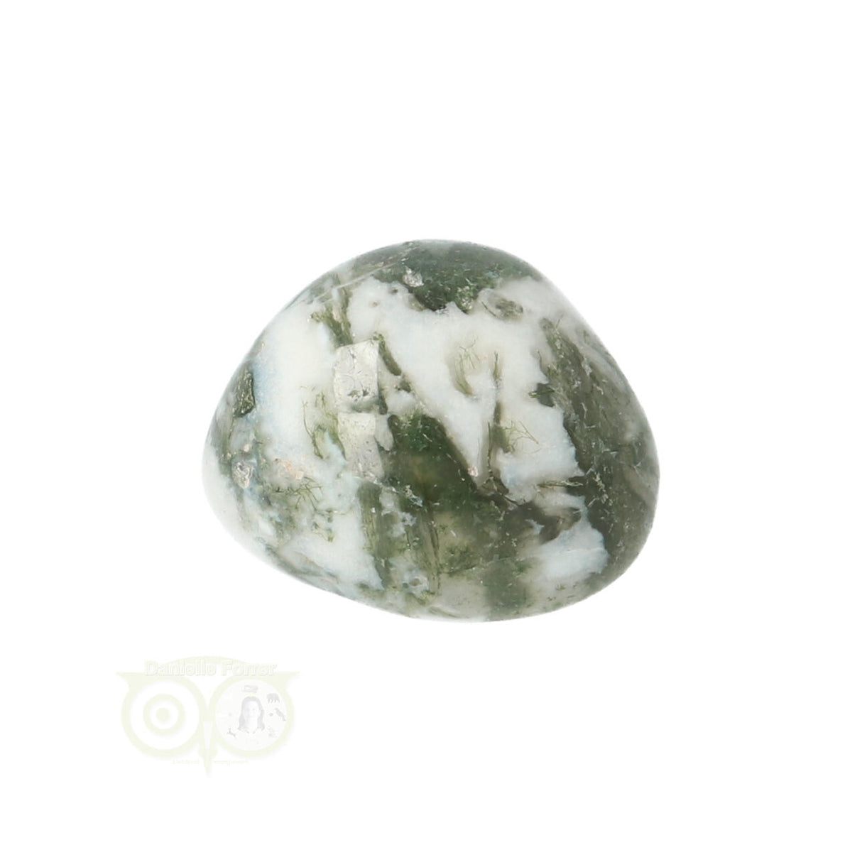 Tree Agate Tumbled Stone No. 10