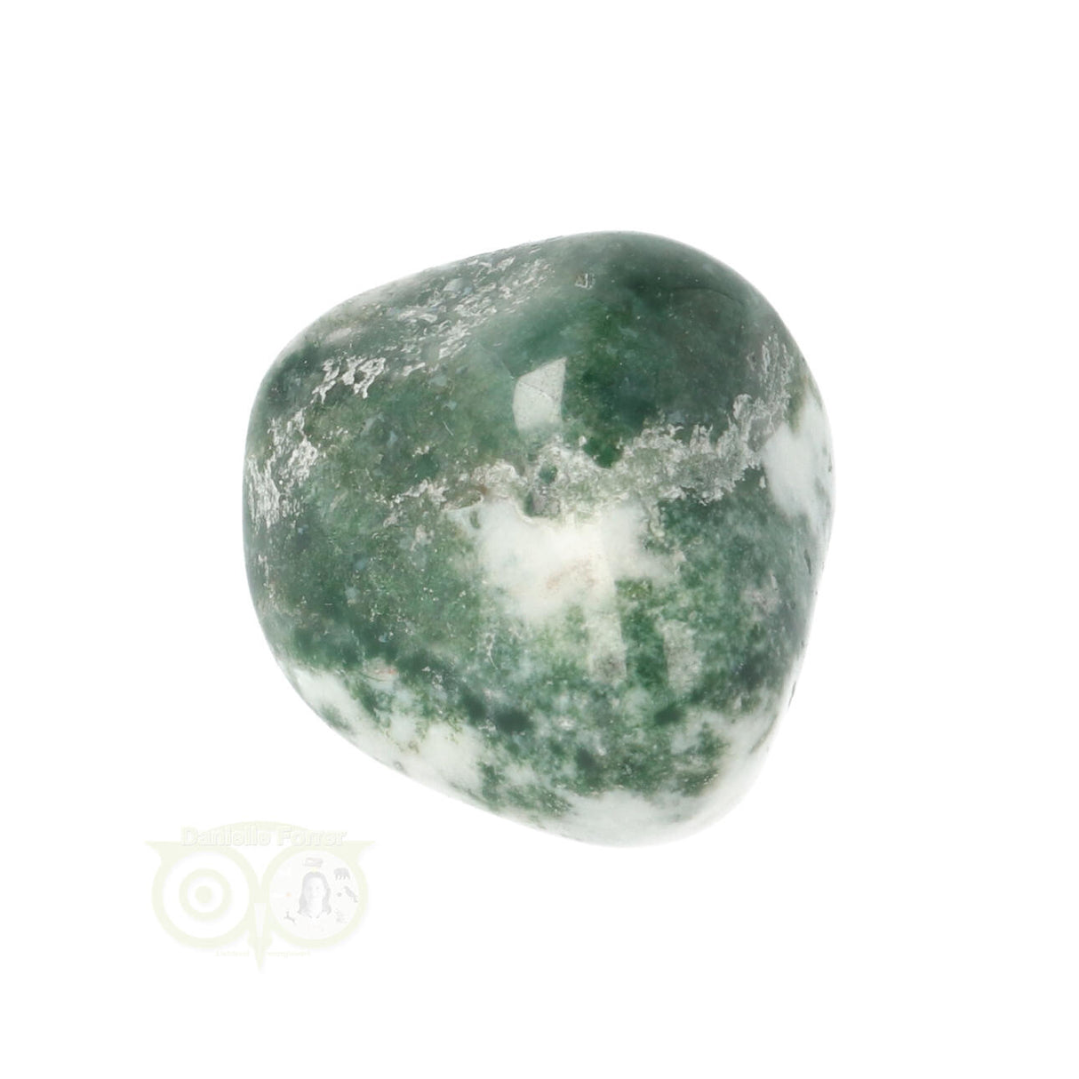Tree Agate Tumbled Stone No. 19