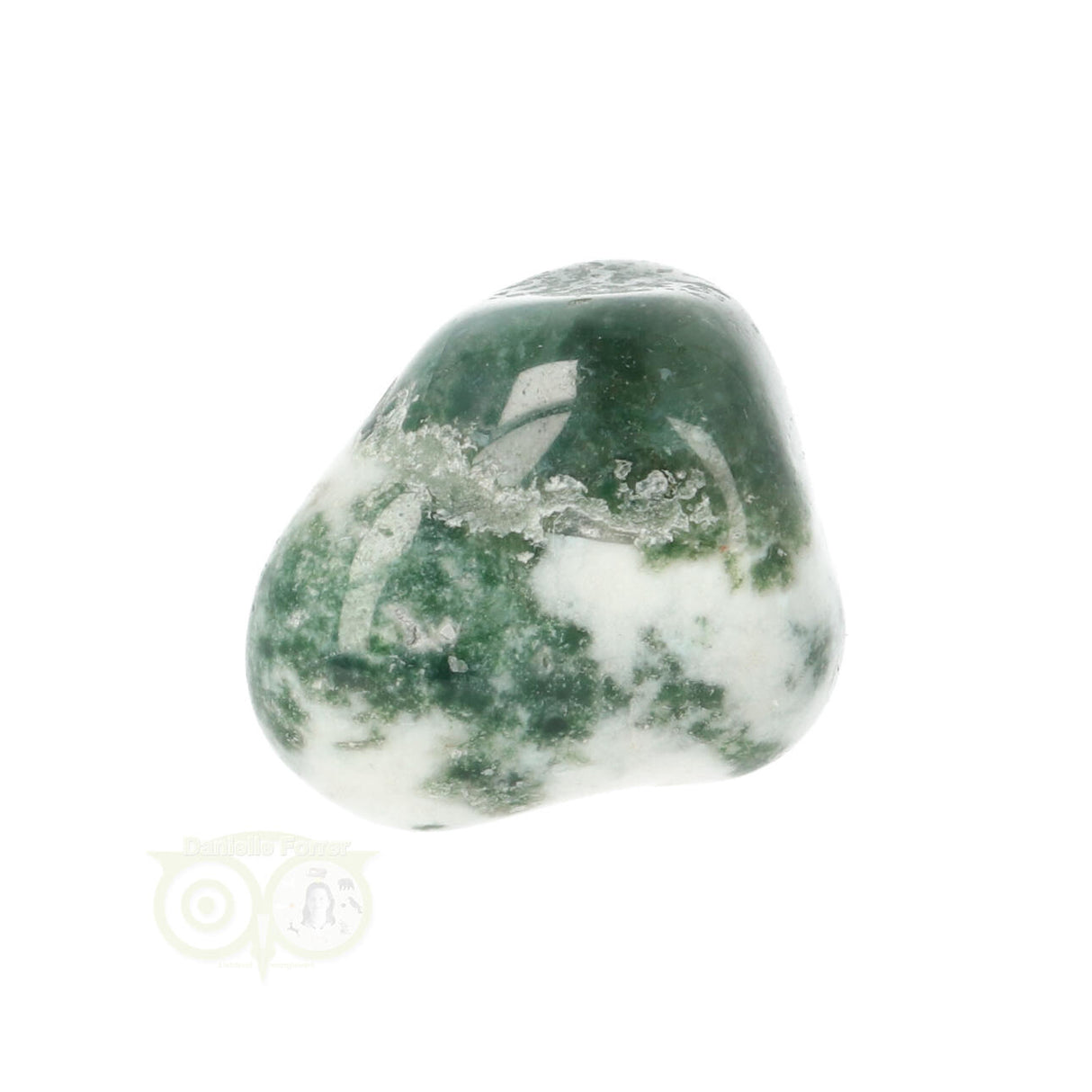 Tree Agate Tumbled Stone No. 19