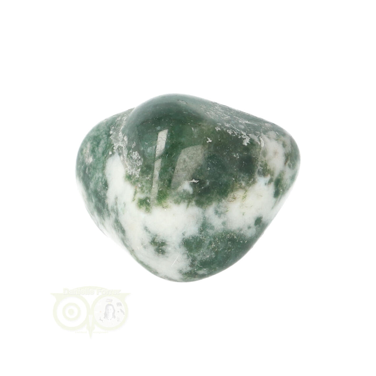 Tree Agate Tumbled Stone No. 19