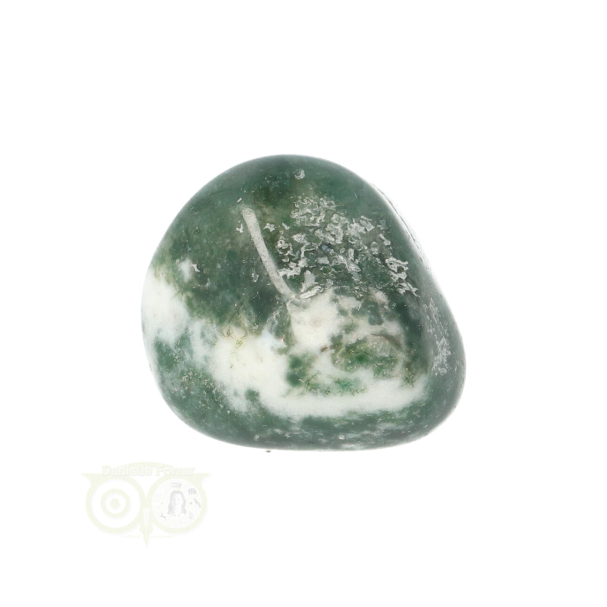 Tree Agate Tumbled Stone No. 19