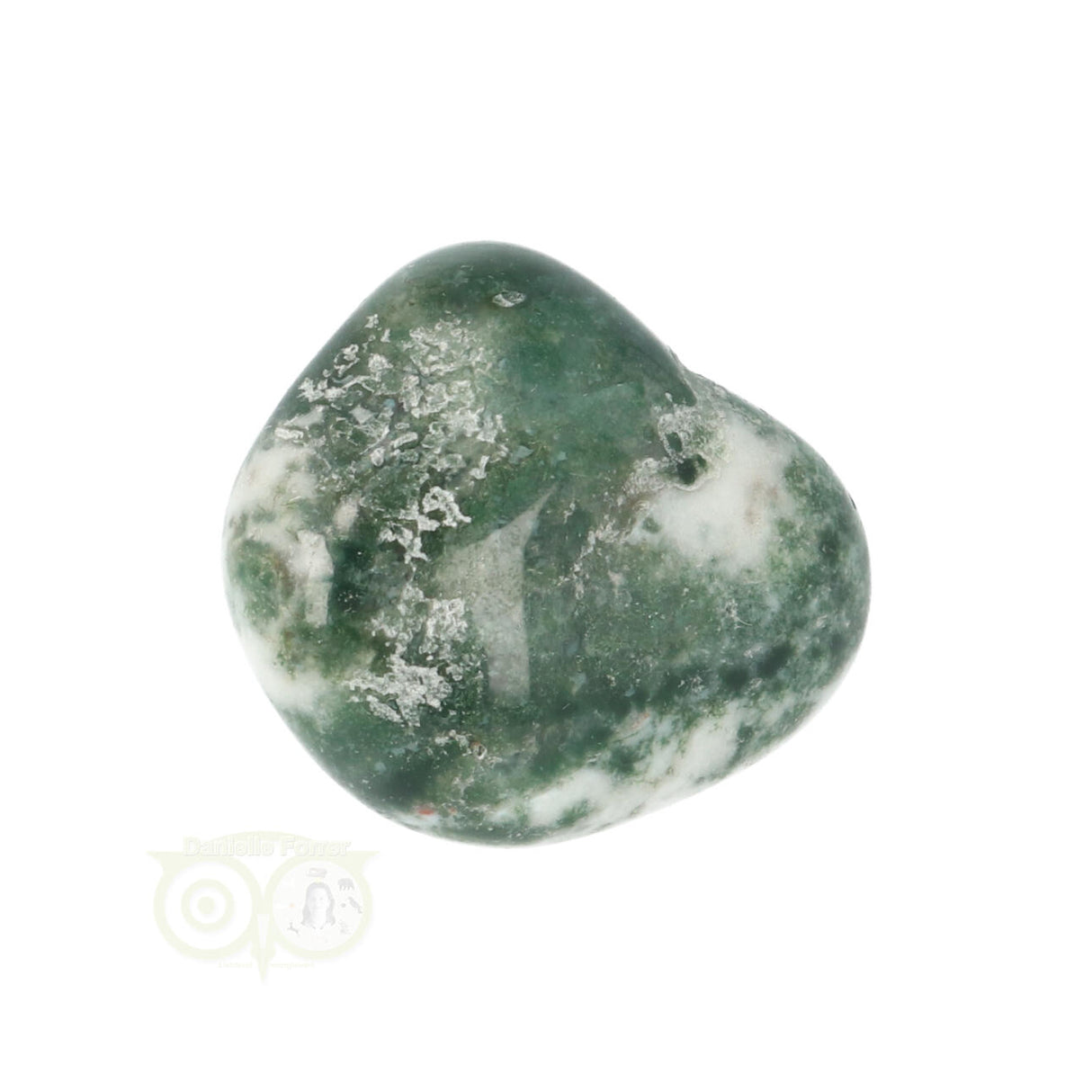 Tree Agate Tumbled Stone No. 19