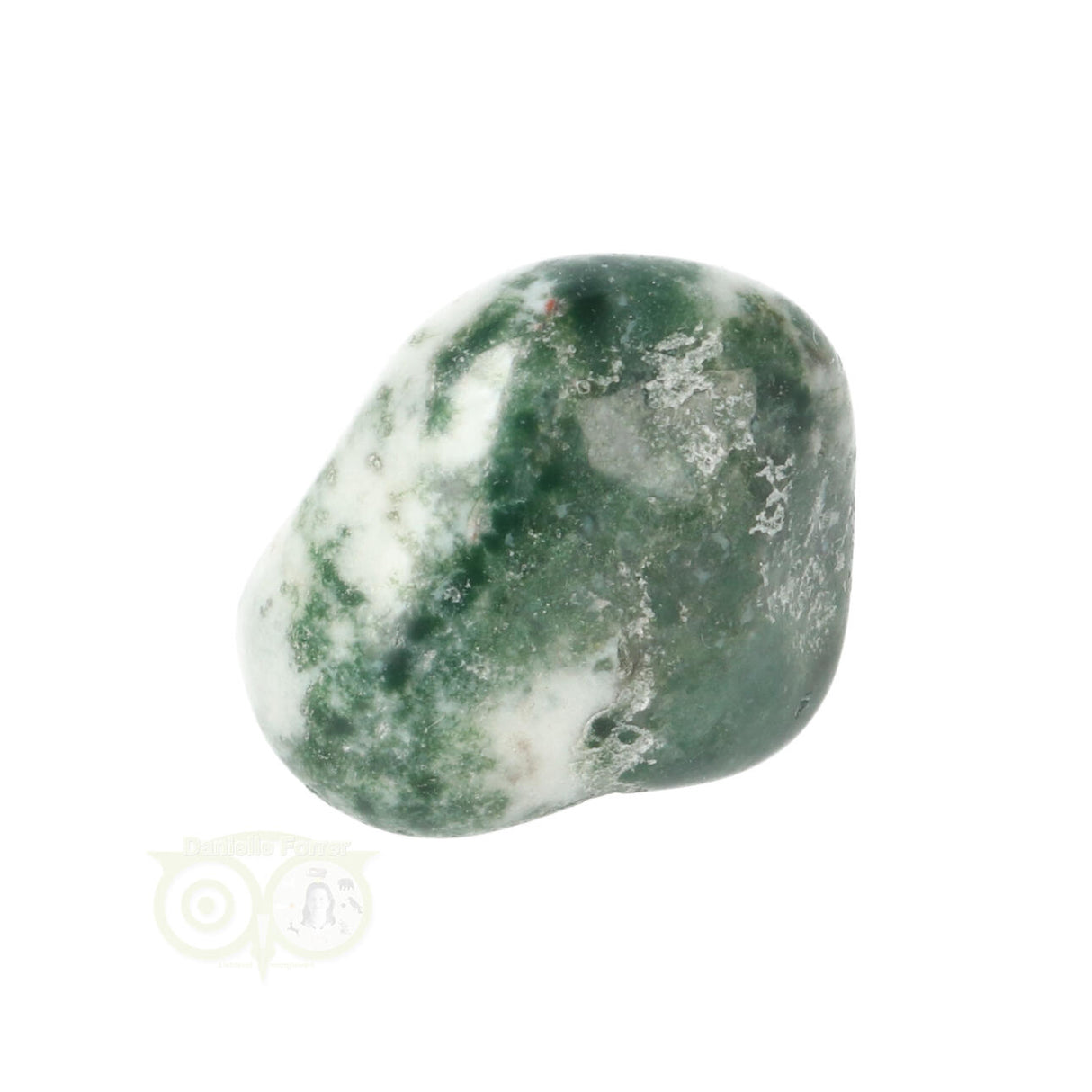 Tree Agate Tumbled Stone No. 19