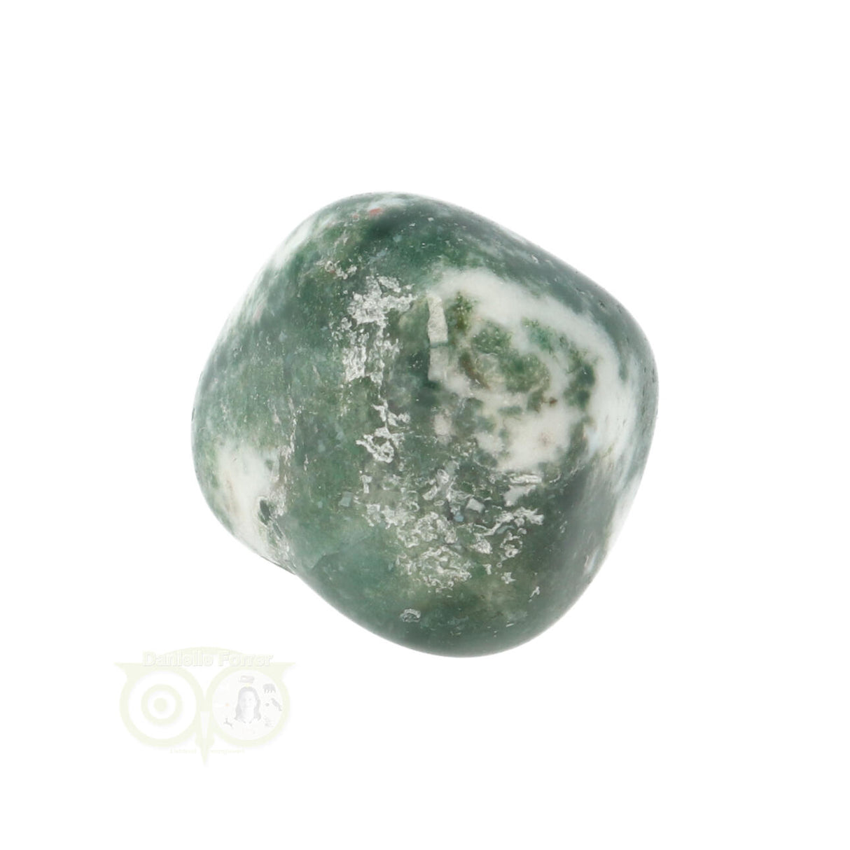 Tree Agate Tumbled Stone No. 19