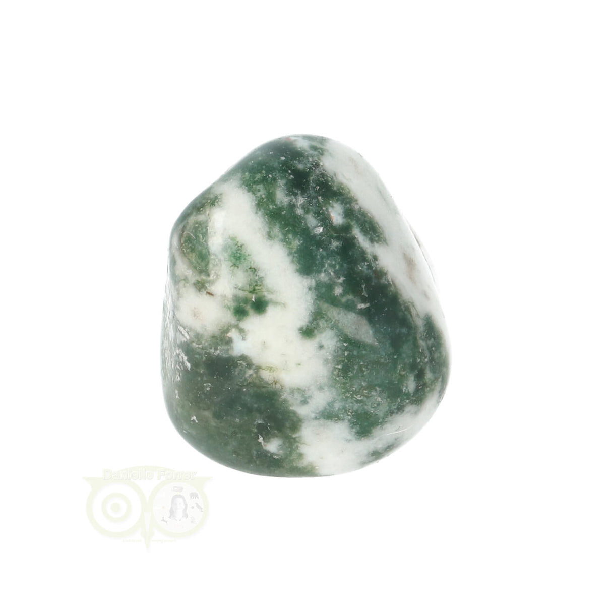 Tree Agate Tumbled Stone No. 19