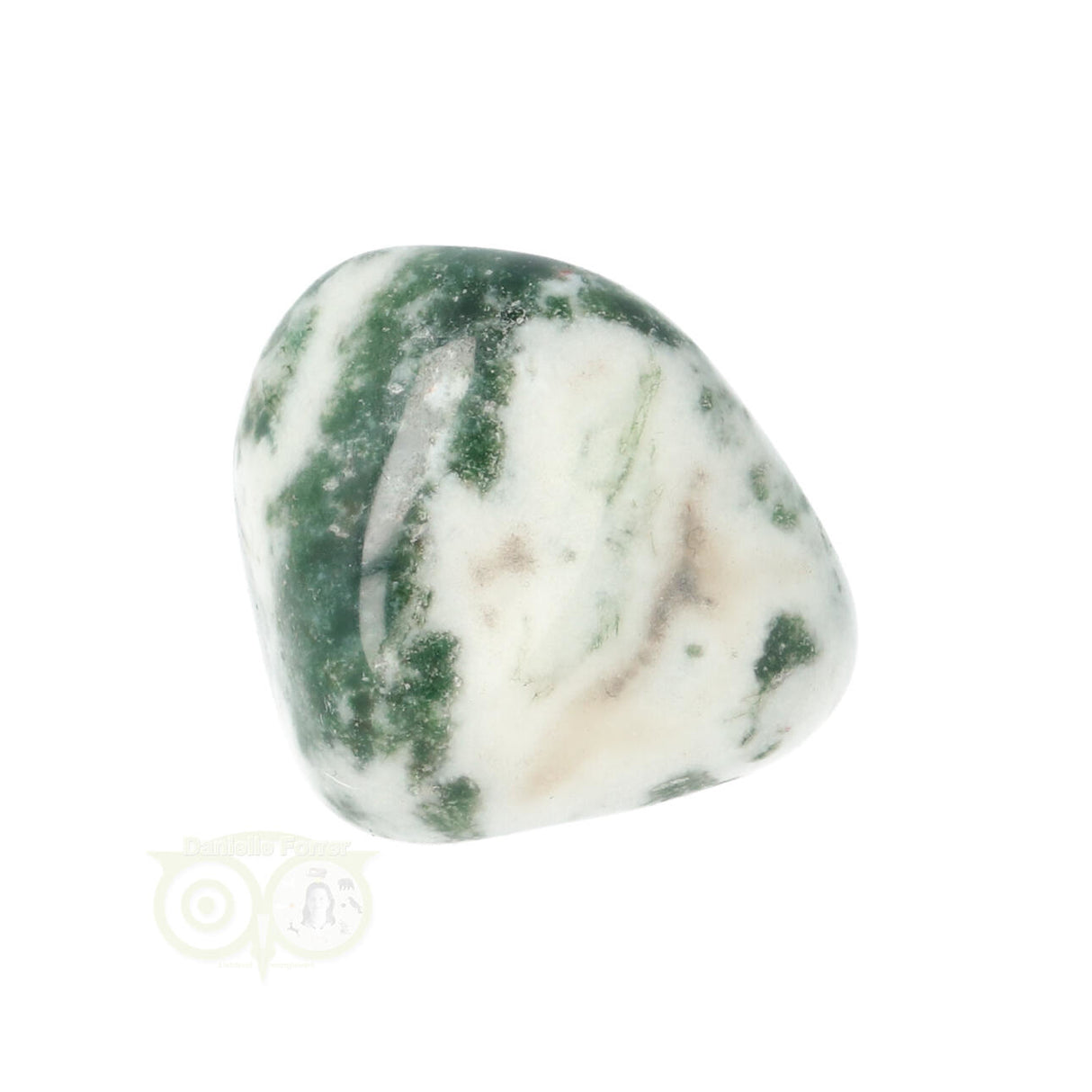 Tree Agate Tumbled Stone No. 19
