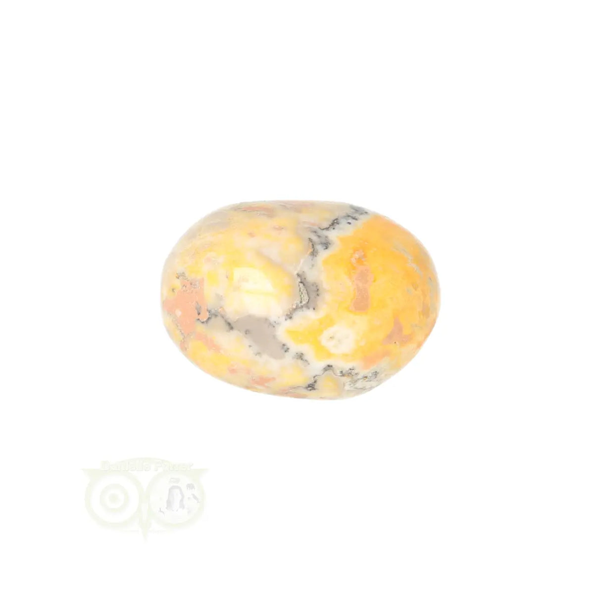 Bumble Bee Jaspis trommelsteen Nr 18