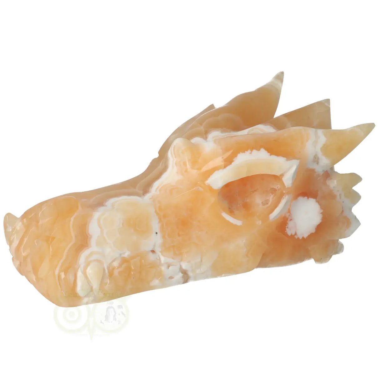 Calciet draken schedel 563 gram