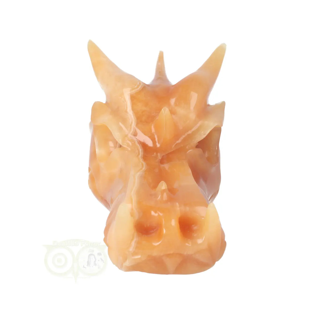 Calciet draken schedel 944 gram