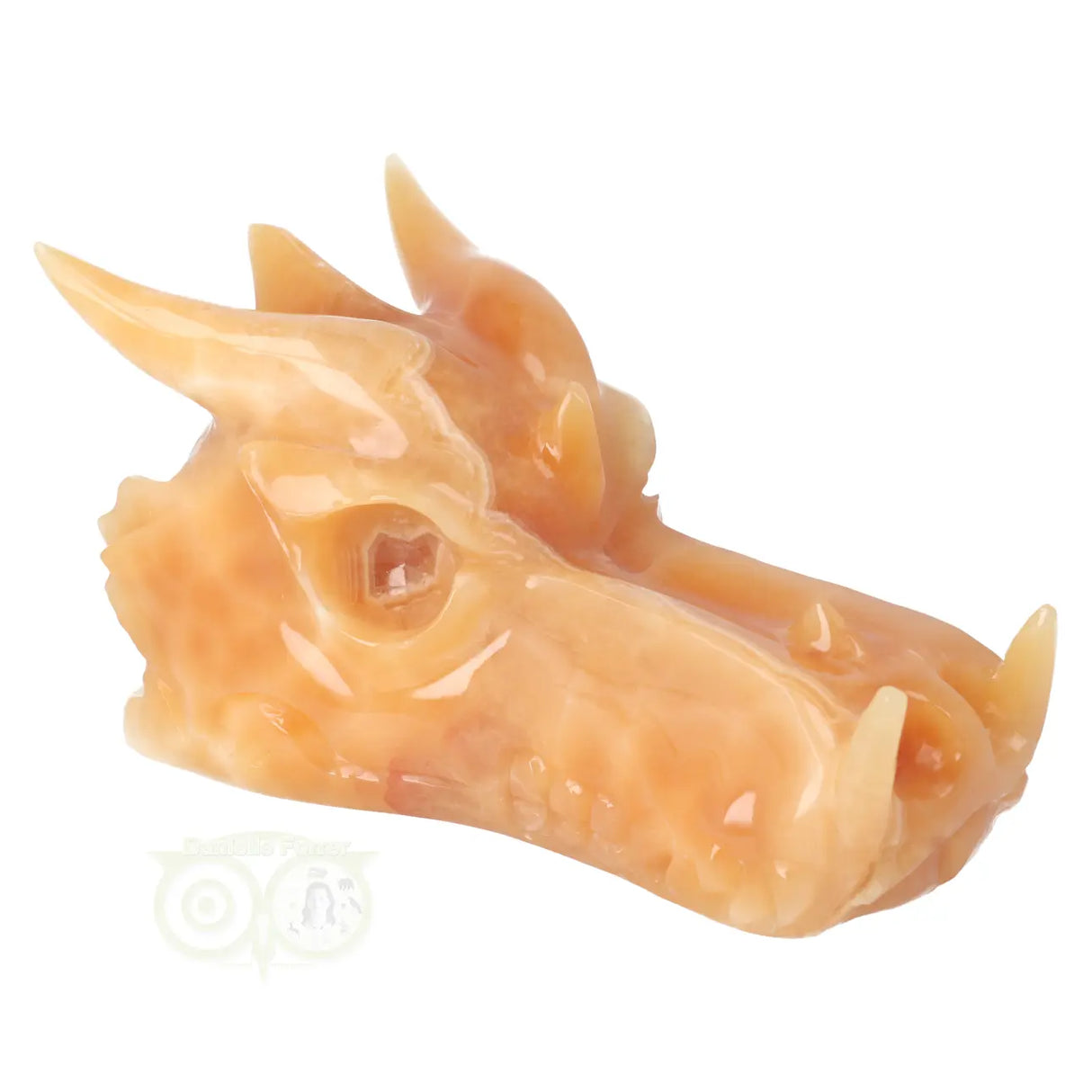 Calciet draken schedel 944 gram