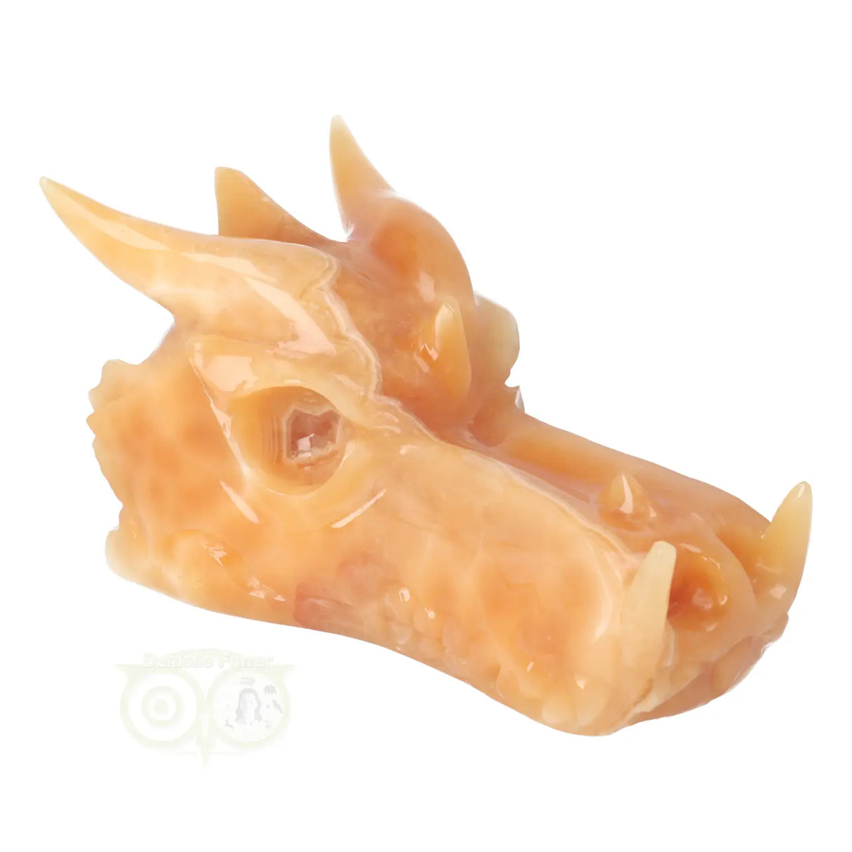 Calciet draken schedel 944 gram