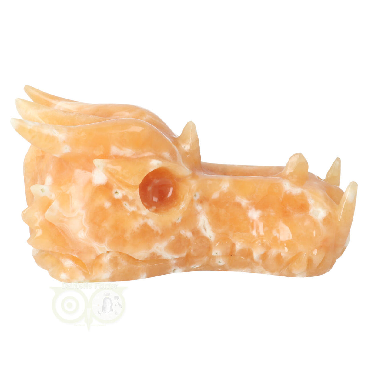 Calciet drakenschedel 778 gram