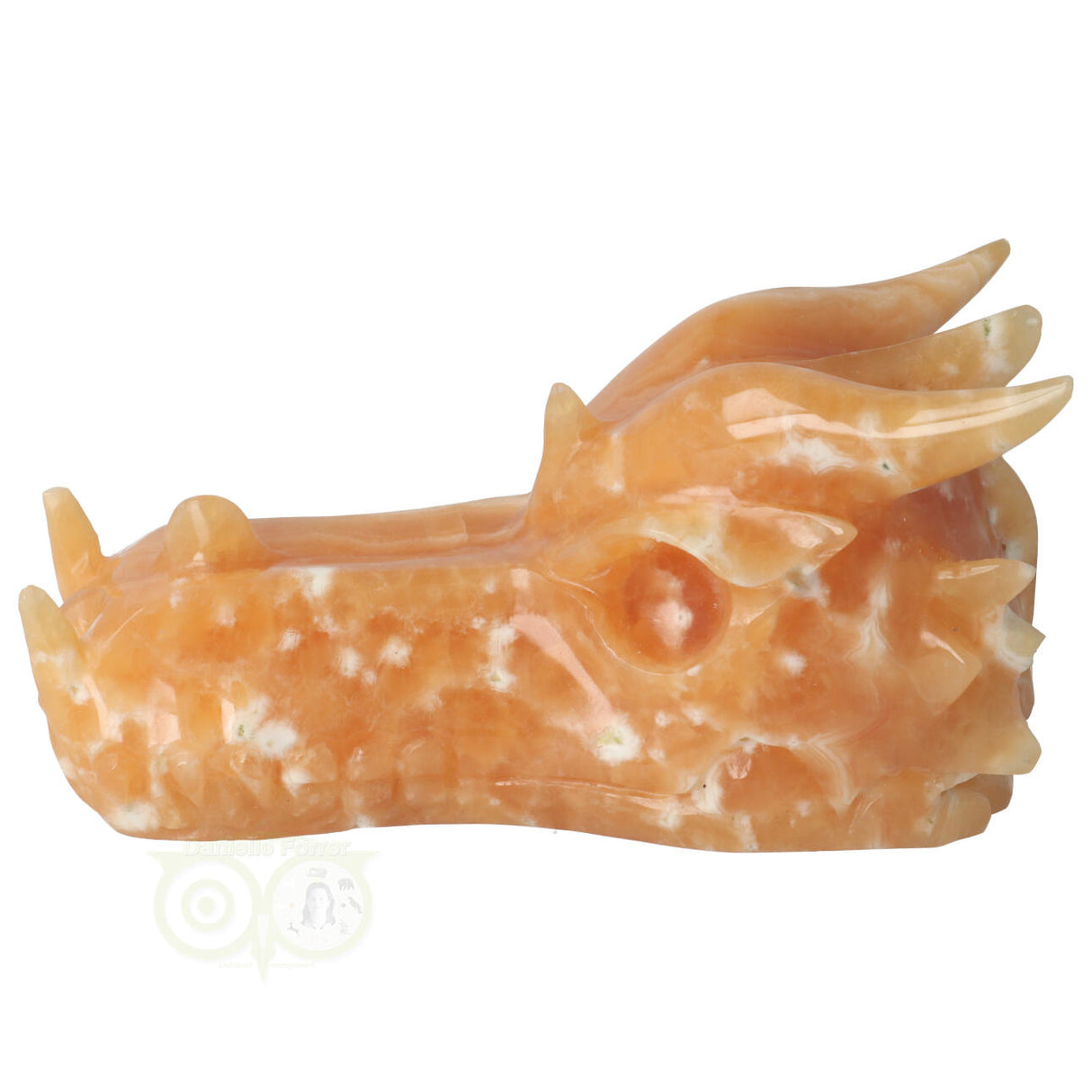 Calciet drakenschedel 957 gram