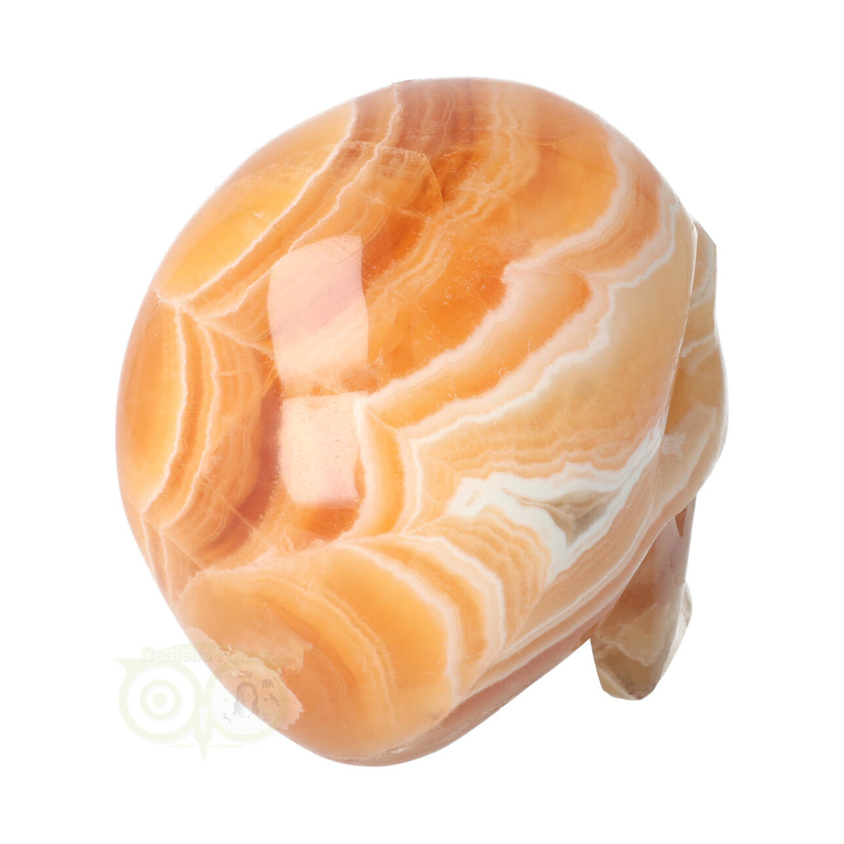 Calciet schedel 1 Kg