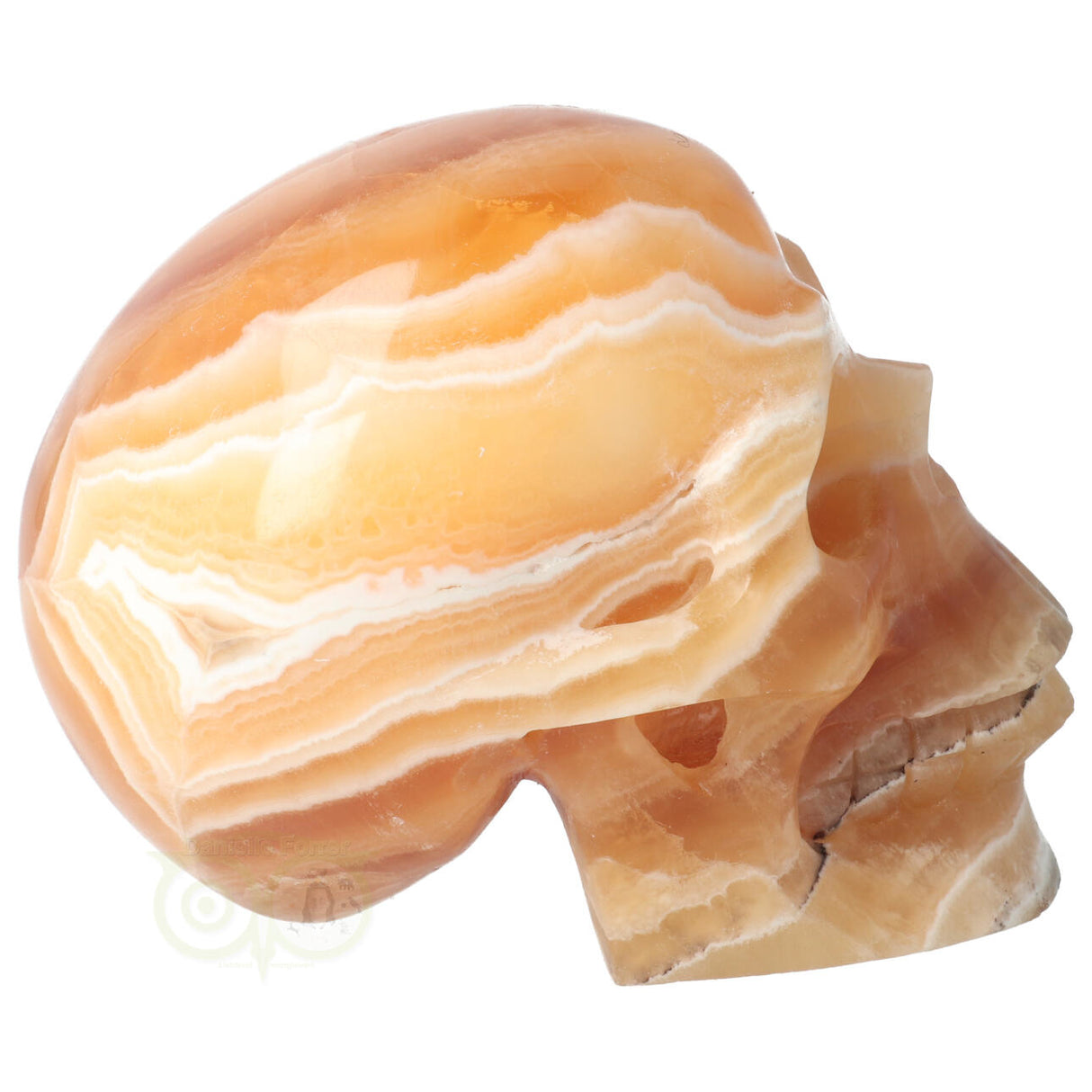 Calciet schedel 1 Kg