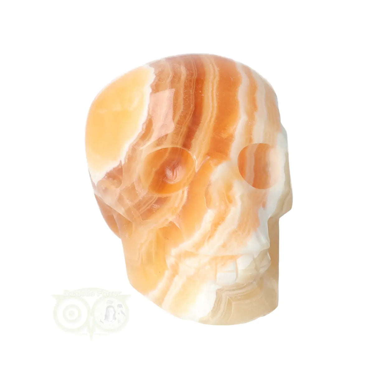 Calciet schedel 374 gram