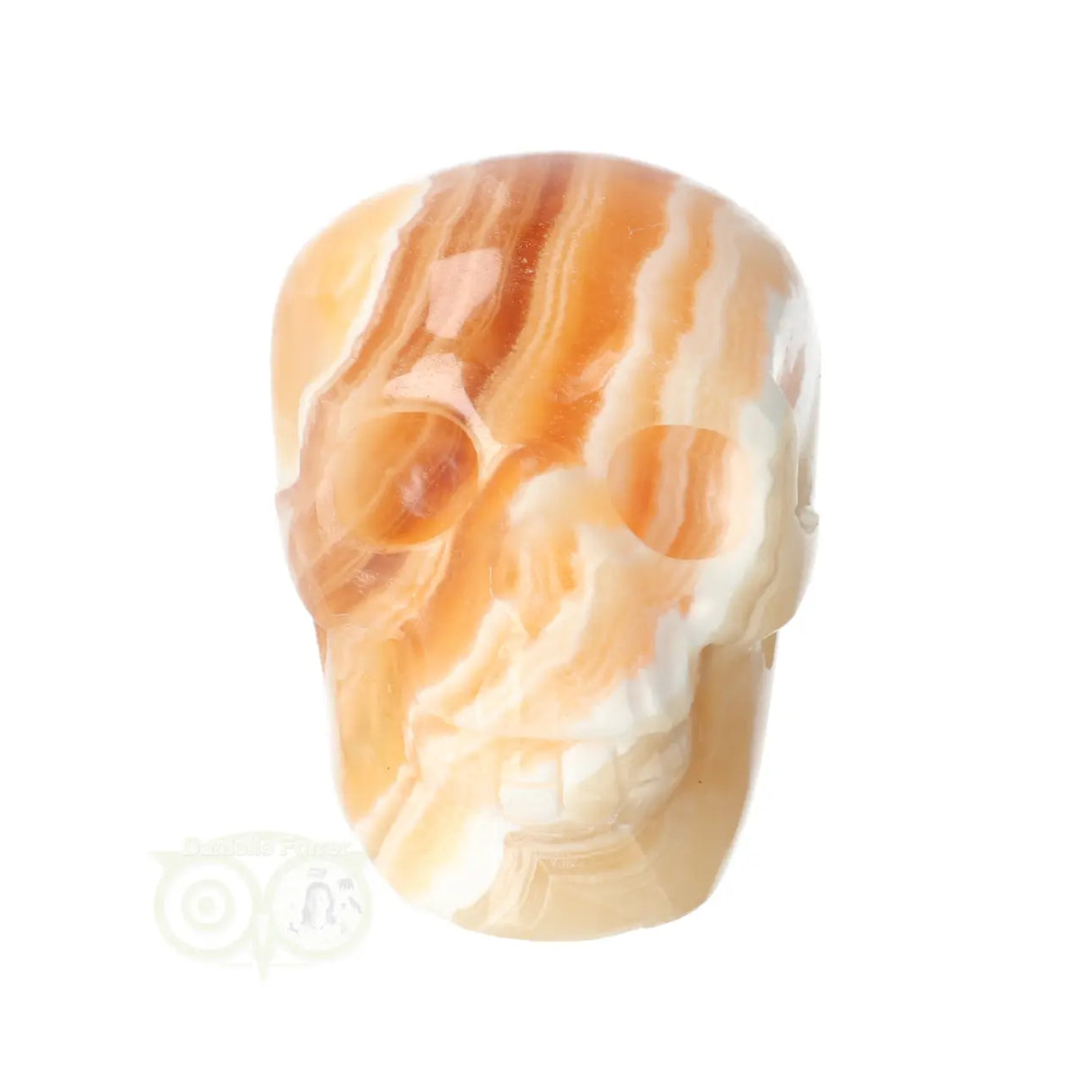 Calciet schedel 374 gram