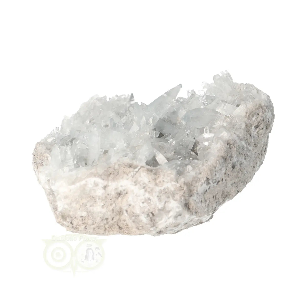 Celestien cluster Nr 82