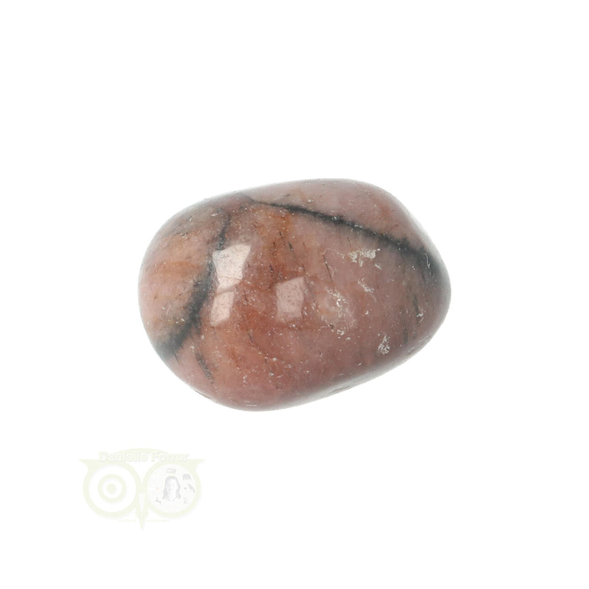 Chiastoliet ( Kruissteen ) trommelsteen Nr 19