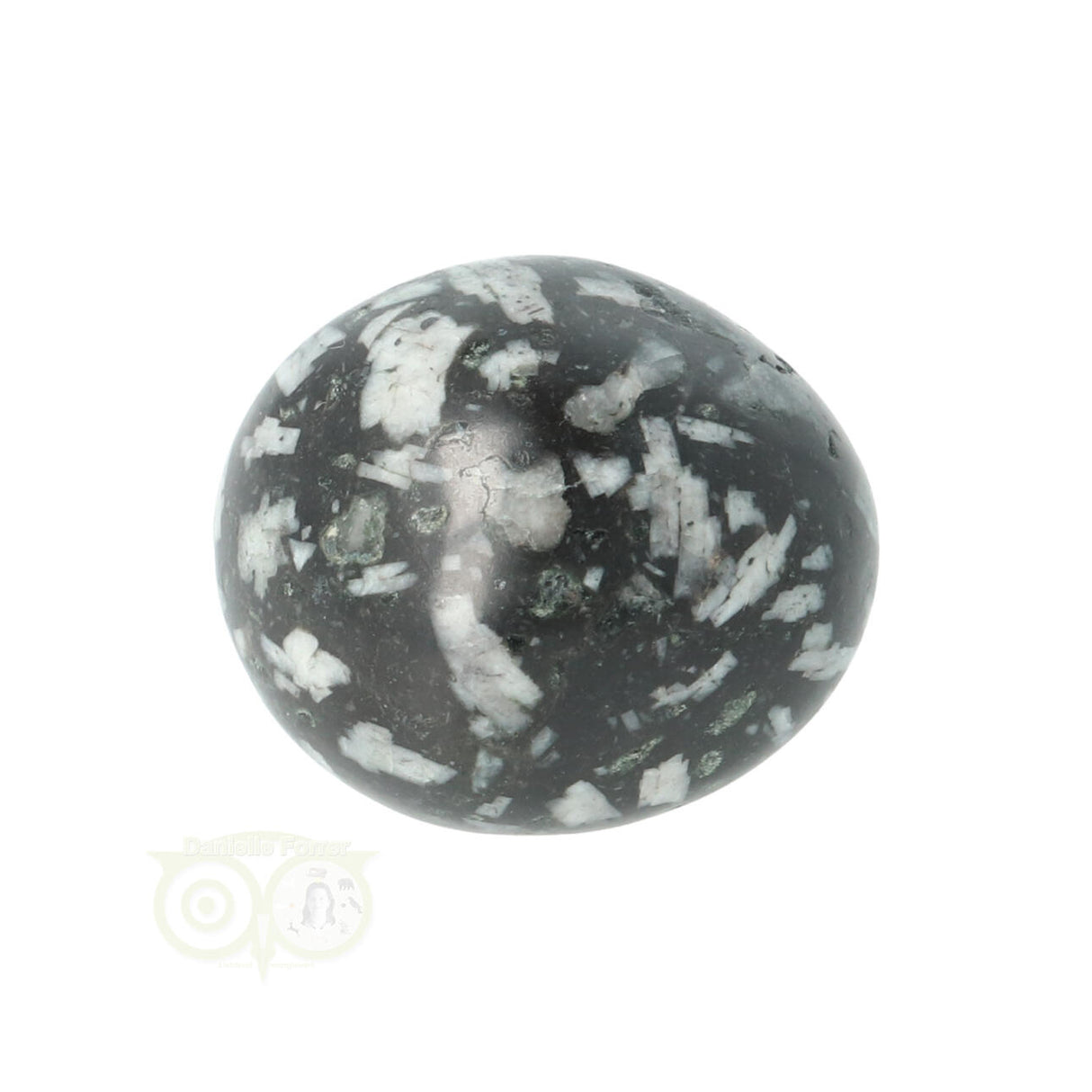 Chrysanthemum geronde trommelsteen nr 14