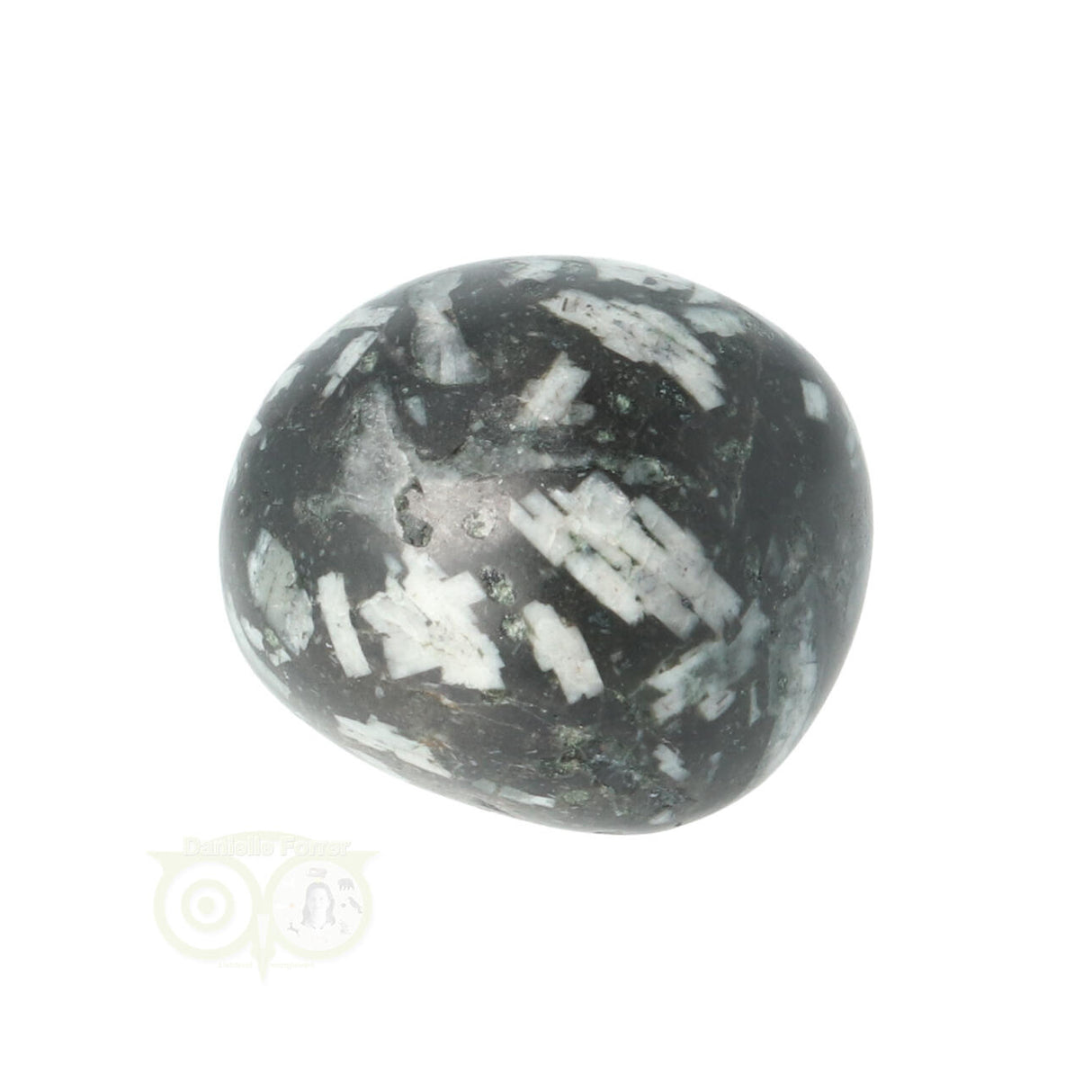 Chrysanthemum geronde trommelsteen nr 14