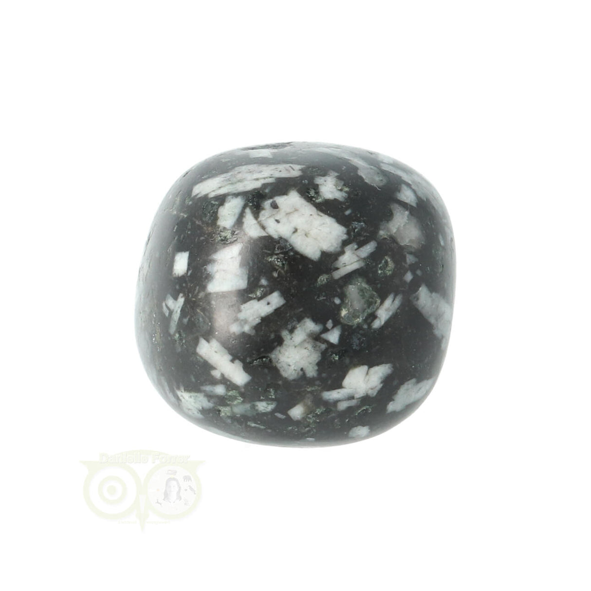 Chrysanthemum geronde trommelsteen nr 14