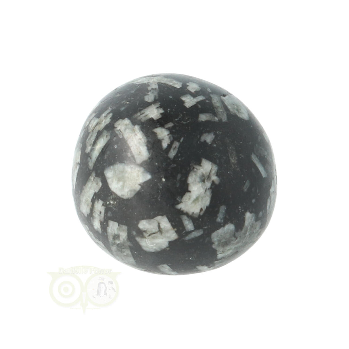 Chrysanthemum geronde trommelsteen nr 15