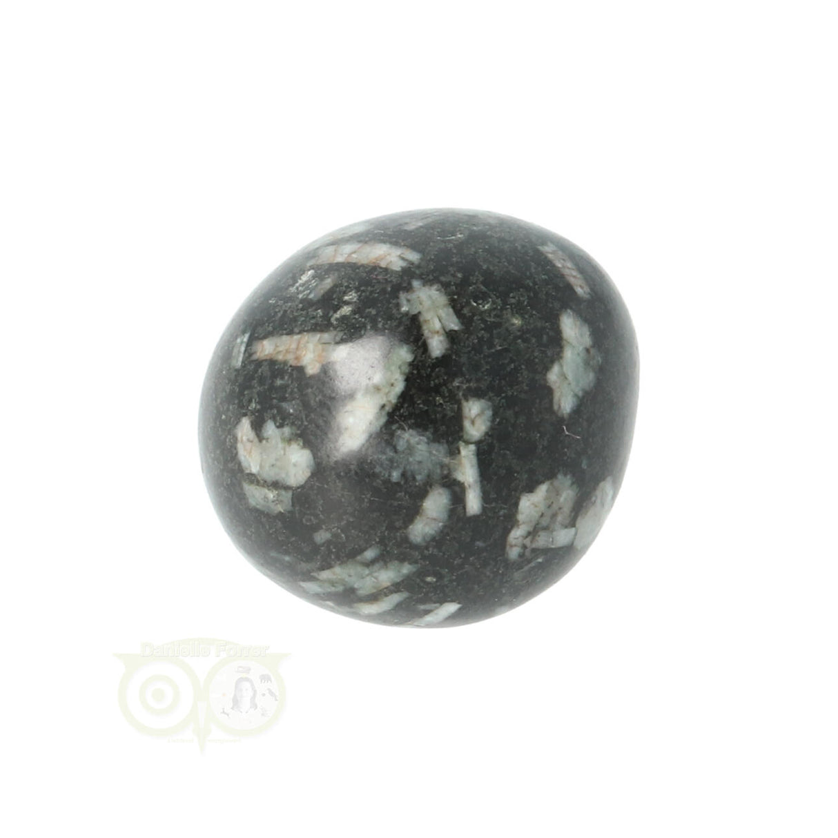 Chrysanthemum geronde trommelsteen nr 17