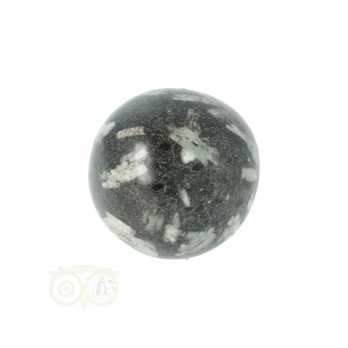 Chrysanthemum geronde trommelsteen nr 17