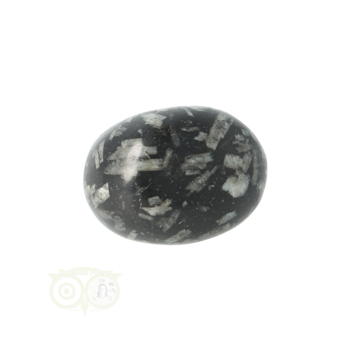 Chrysanthemum geronde trommelsteen nr 19