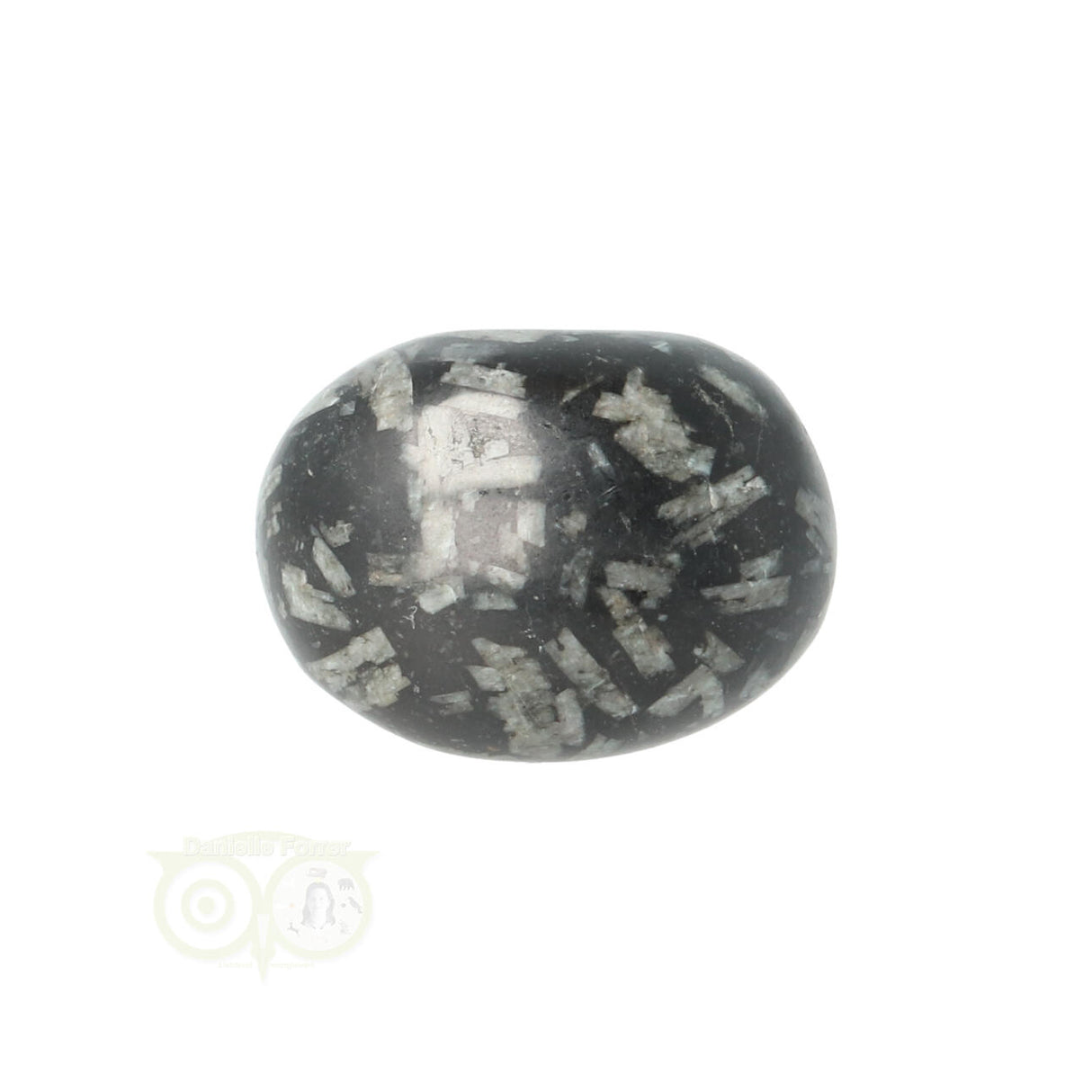 Chrysanthemum geronde trommelsteen nr 19