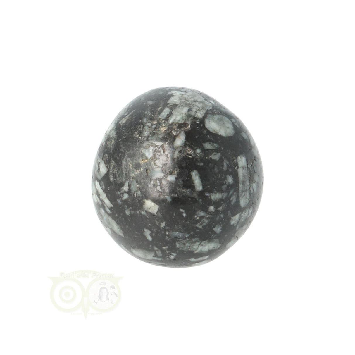 Chrysanthemum geronde trommelsteen nr 20