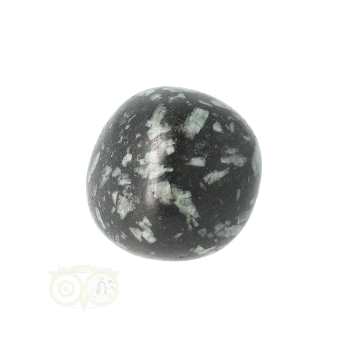 Chrysanthemum geronde trommelsteen nr 20